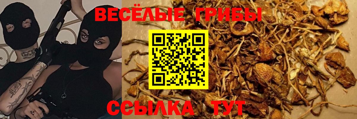 купить наркотики сайты  Псилоцибиновые грибы мухоморы  Вход с VPN  Карталы 