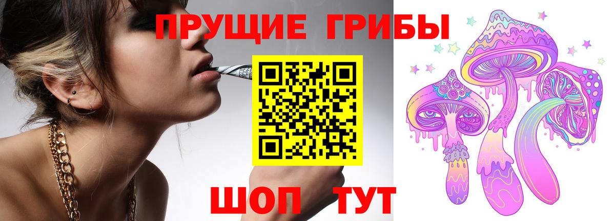 Псилоцибиновые грибы GOLDEN TEACHER Карталы